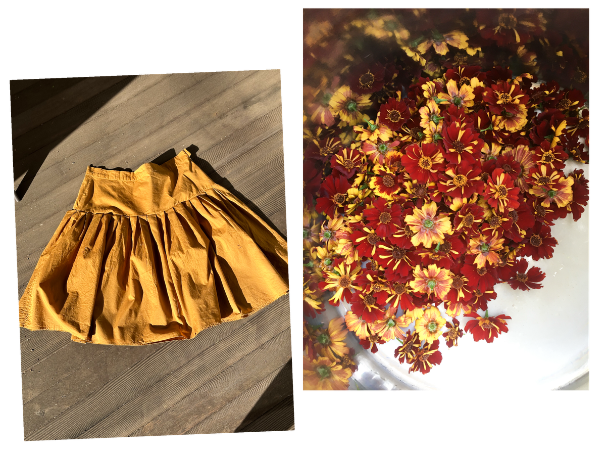 Coreopsis Dyed Pleated Skirt